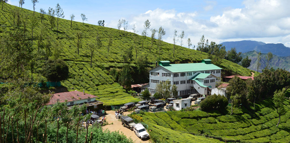 Kolukkumali Tea Plantation in Tamil Nadu